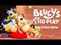 Is Bluey S Big Play Stage Show Worth The Ticket Full Live Show POV 