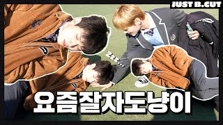 [JUST B.CUT] 투명 베개(?)를 베고 잘 자는 도냥이 😼💤  (ENG/JPN/SPN/INA)