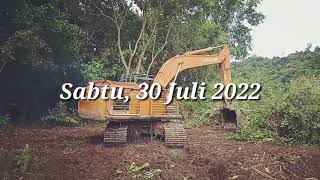 Download Lagu Galering Payau Kelelawar MP3