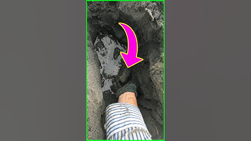 Unearthing Giant Clam? 😳 #shorts