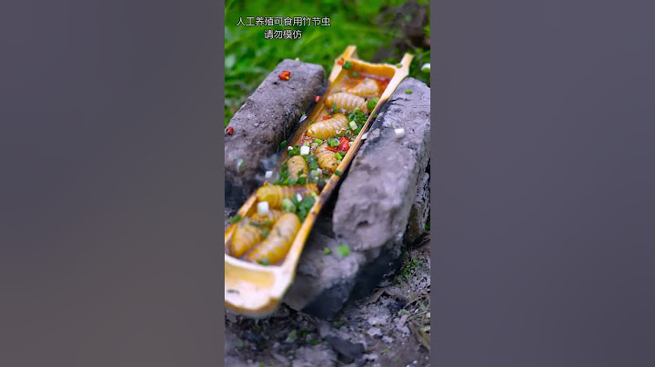 The essence of bamboo, stick insects, special delicacies| Chinese Food Eating Show