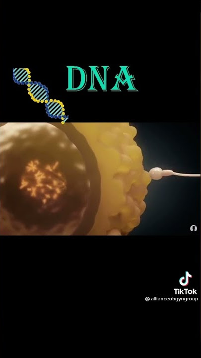 Sperms video #tiktok