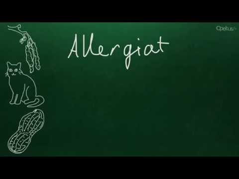 Video: Lemmikkien Allergiat Allergiakuvat Vs. Allergiapisarat Lemmikkeille