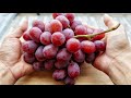 Perfect grape cleaning for eating