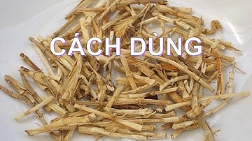 Bài thuốc nam chữa nóng gan từ rễ cỏ tranh