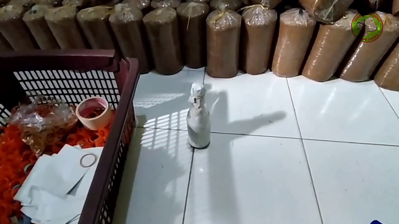 Tutorial Usaha Budidaya Jamur Tiram; Part 3 : Pembuatan Baglog