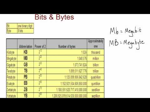 INFM 109 Chapter 1 Digital Basics