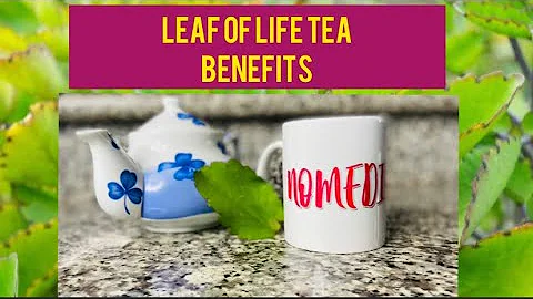 LEAF OF LIFE TEA BENEFITS | MIRACLE LEAF| How to make Bryophyllum Pinnatum tea| NoMediocre Tea Time