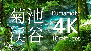 菊池渓谷の夏【Kumamoto 4K 10minutes】NikonD850