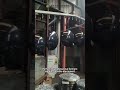 Durable Disc Blades for Maximum Efficiency