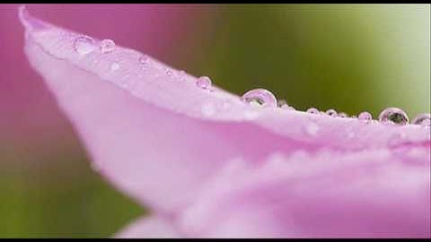 A. Vivaldi: Chamber concerto for recorder, oboe, bassoon & b.c. in G minor (RV 103)