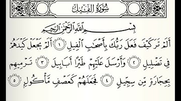 سورة الفيل الشيخ أحمد الحواشي رحمه الله