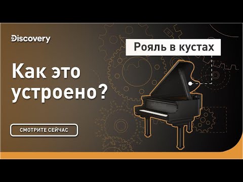 "Рояль в кустах" | Как это устроено? | Discovery