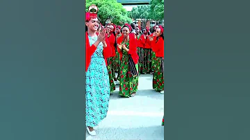 Shinooyyee 