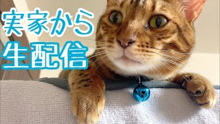 【生配信8/9】実家から生配信します！