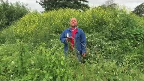 سورة القصص مقاصد ومحاور