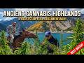 Strain Hunters  | Kyrgyzstan Expedition - Full Documentary