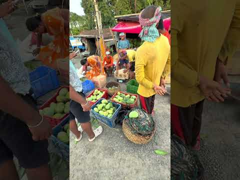 Mango 🥭 Mela Mini Vlog ✨❤️ #explorepage #minivlog