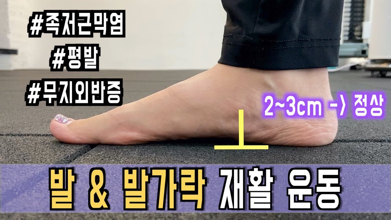 발에 문제가 있으신 분들이 애타게 찾던 영상입니다 / 족저근막염, 평발, 무지외반증 재활운동