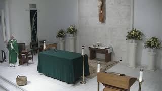 St. Patrick Catholic Church, Tampa, FL 3rd Sunday in Ordinary TIme 1/25/26 4PM