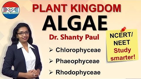 Algae- Plant kingdom