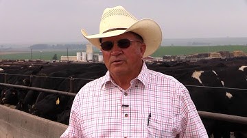Angus VNR: Nebraska feedyard fills niche