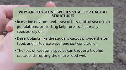 Why Are Keystone Species Vital For Habitat Structure? - Ecosystem Essentials