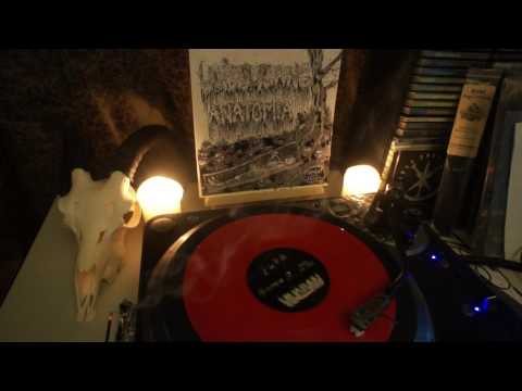 Anatomia — Anatomia - Forrådnelse