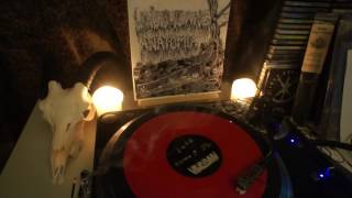 Anatomia - Forrådnelse