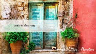 Nazım Hikmet - Tahir Ile Zühre