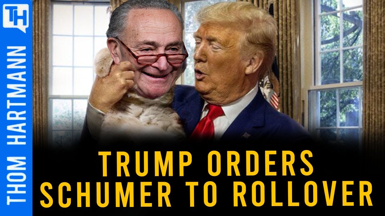 Schumer Caves to Trump: Democrats Demand New Senate Leadership