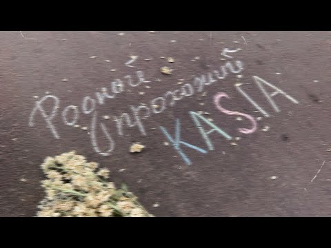 KASIA - Родной прохожий (Official audio)