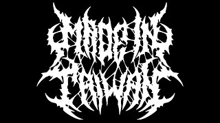 Made in Taiwan - Doppelganger