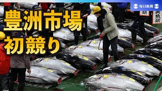 豊洲市場で初競り、最高値3604万円　青森・大間産クロマグロ