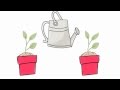 Watering Experiments: A Study of Plant Health and Controlled Variables