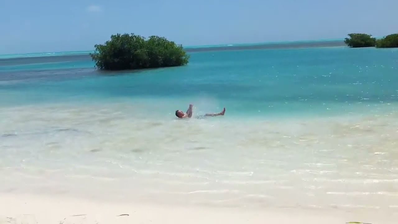 Royal palm island resort Belize YouTube
