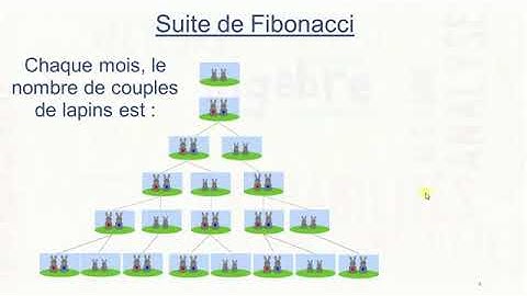 Suite de Fibonacci
