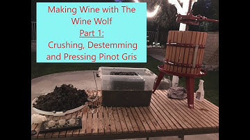 Making Wine with The Wine Wolf- Pinot Gris Crush and Destemming!