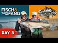 🎣 FISCH & FANG BEI DER PREDATORTOUR 2019 (3 von 3) 🎥 | PredatorTour 2020 | Pike Zander Perch fishing