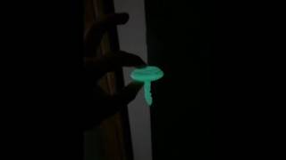 A Comprehensive Guide to 3D Printing Timeplast Materials.. Consistently (Glowing Plant Vitamin)