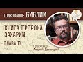 Книга пророка Захарии. Глава 11. Андрей Десницкий. Ветхий Завет