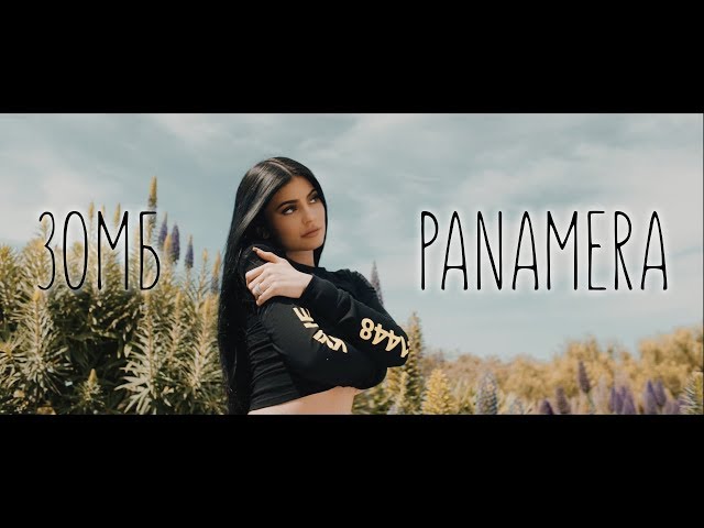 Зомб - Panamera