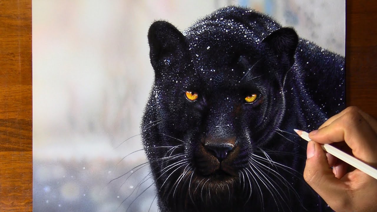 Black Jaguar Drawing