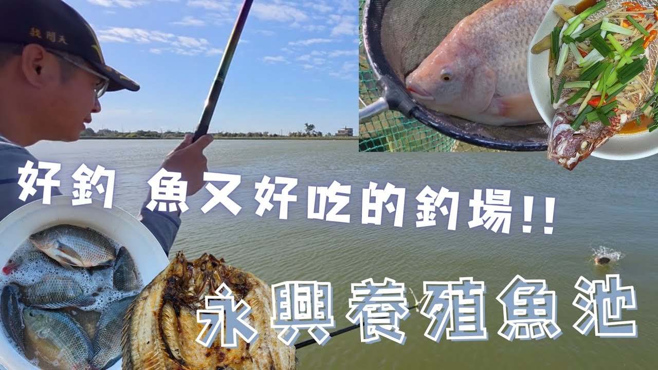 魚戰釣具-好釣又好吃的養殖魚池-永興~~  90%的人不知道的大碑調標方式