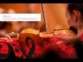 Capture de la vidéo The Halle - Classical Extravaganza (Trailer)