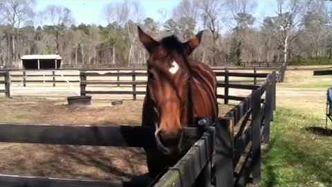 Cadence playing the banjo!