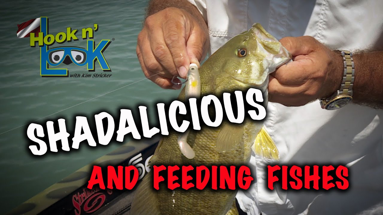 Shadalicious and Feeding Fishes - FULL EPISODE