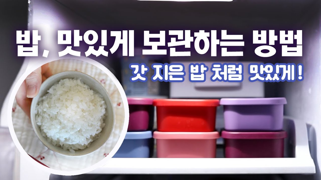 밥 맛있게 보관하는 방법 •  냉동밥 보관용기 고르는 팁  •  전자렌지 데우기