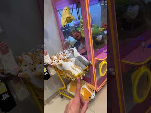НАШЕЛ ОГРОМНЫЙ АВТОМАТ С ИГРУШКАМИ😱 ВЫИГРАЛ ИГРУШКУ🥳 #обзор #видеоshorts #покупки #продукты