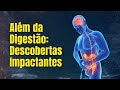 Intestino um elo surpreendente com autismo alzheimer